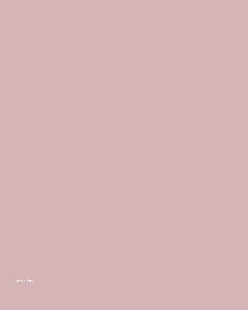 Blush Chiffon Bridesmaid