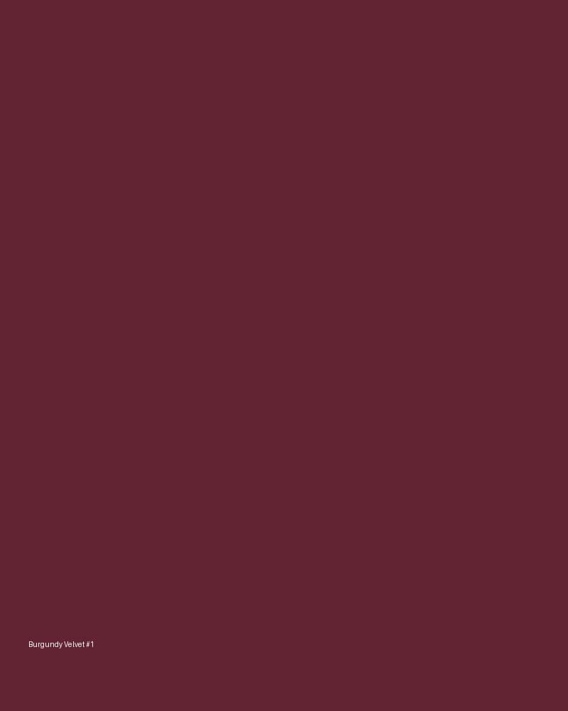Burgundy Velvet Dress